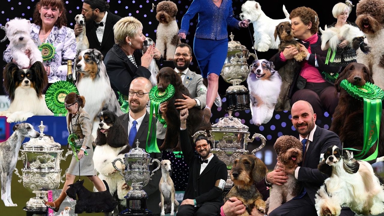 Collage of Crufts Best in Show winners from 2015 to 2025, featuring whippets, dachshunds, terriers, spaniels, retrievers and their handlers with the Crufts trophy at the NEC in Birmingham.