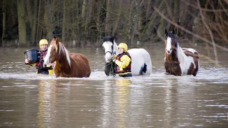 RSPCA%20floods%202.jpg