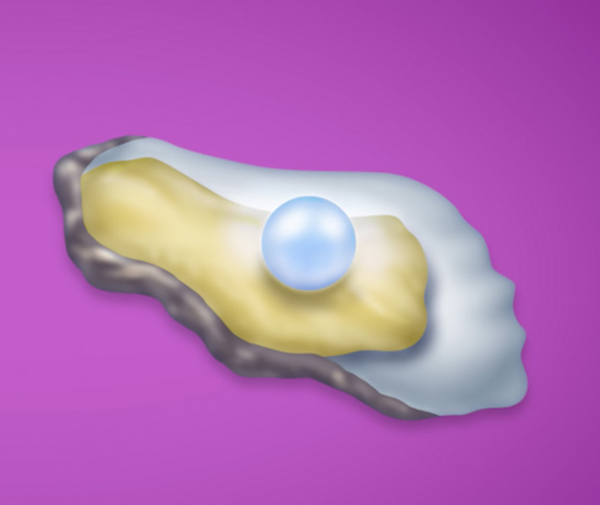 oyster-1556647279-cxXT-column-width-inline