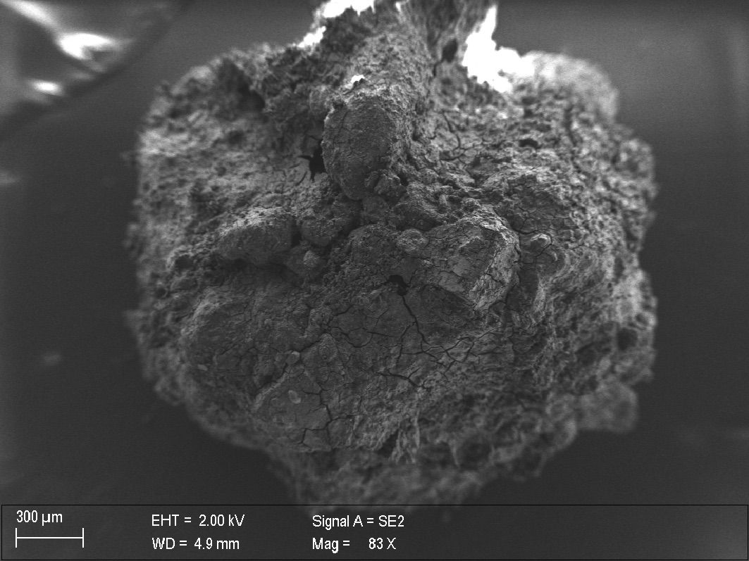A view of the vitrified spinal cord, as seen under a microscope.
