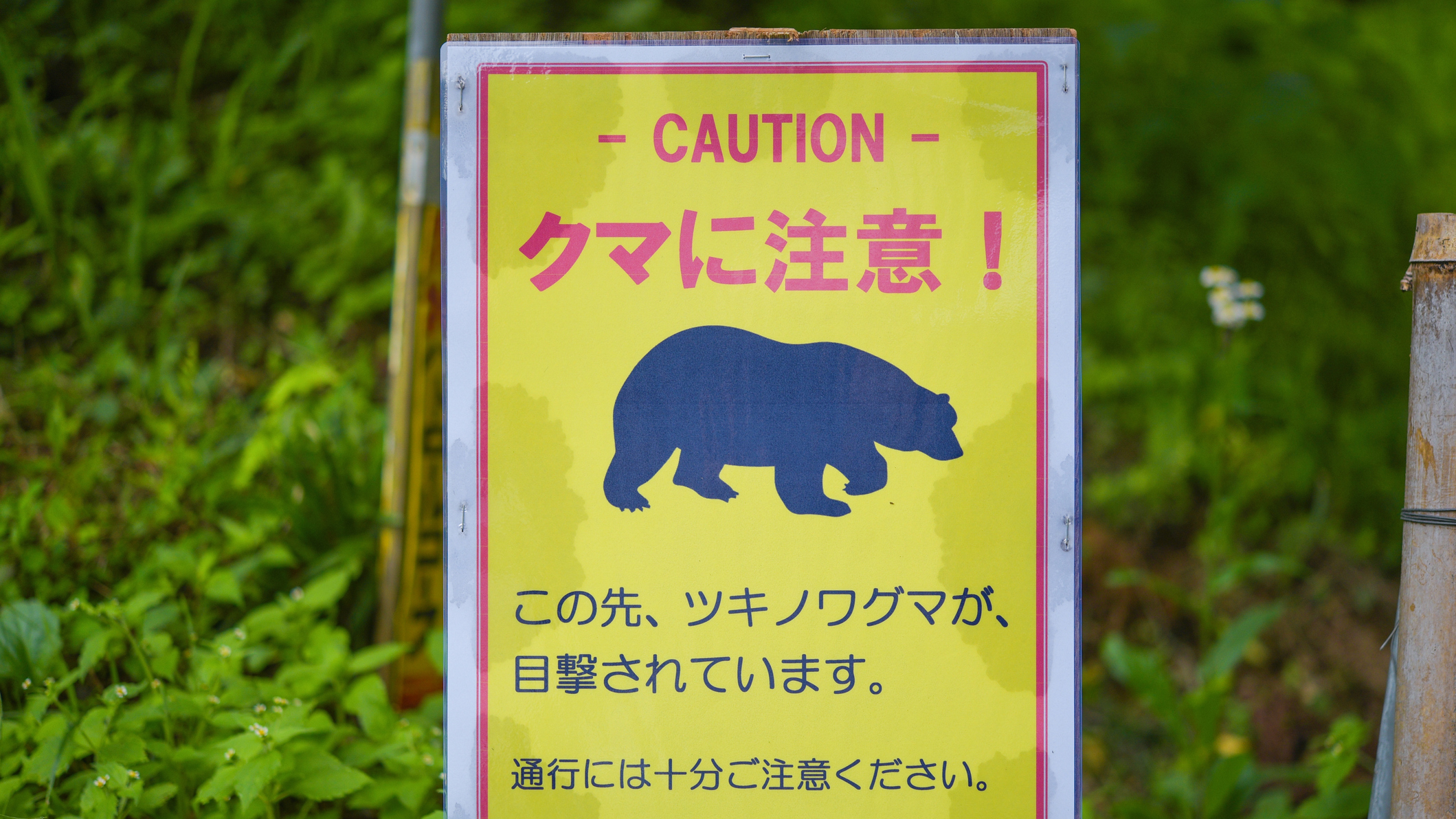 A sign warns hikers of bears