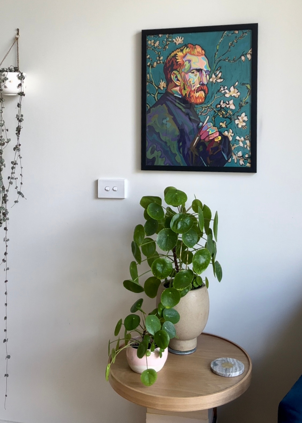 A set of two potted houseplants on a wooden side table