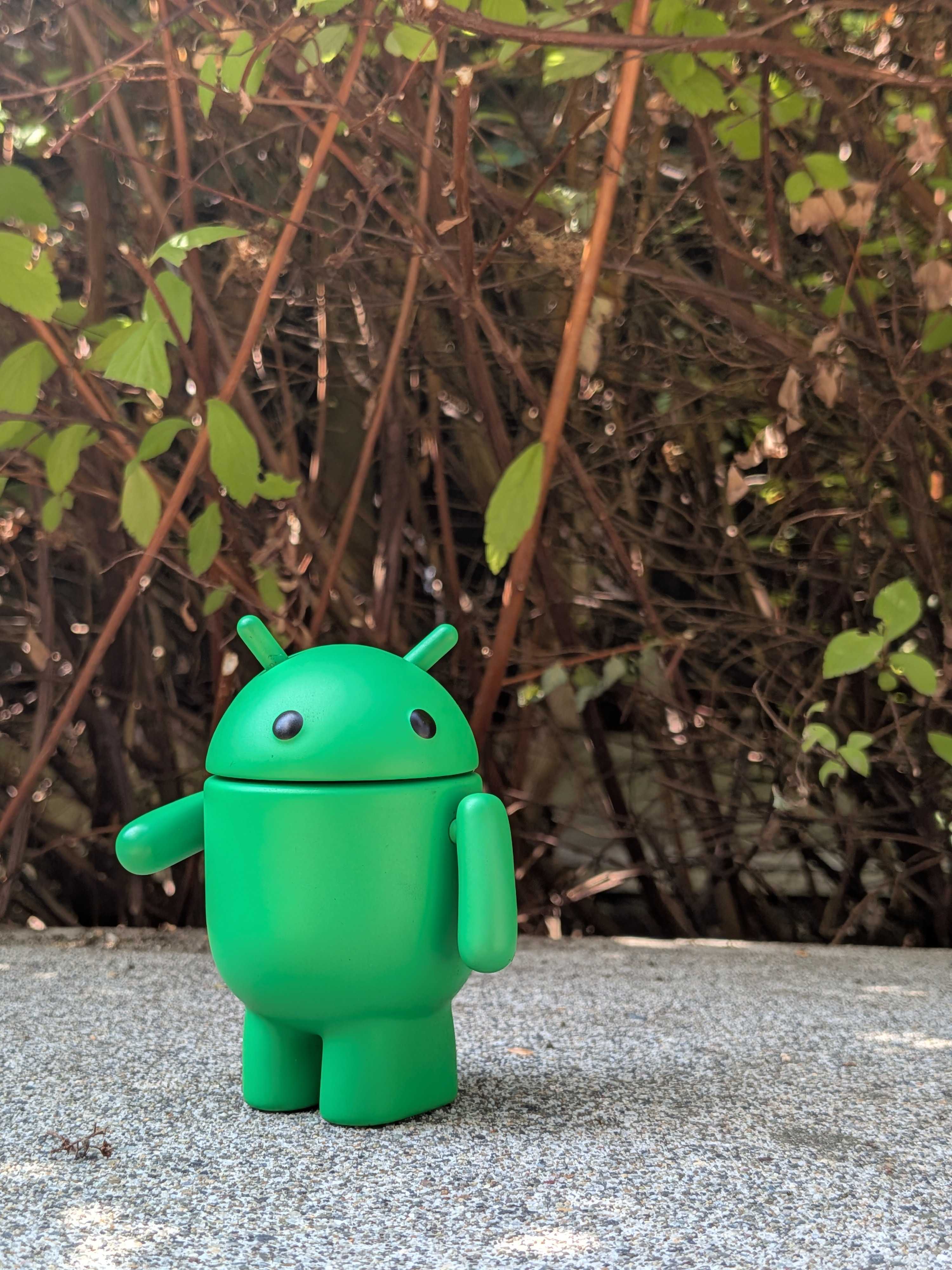 The Android Bot captured with Camera Coach on the Google Pixel 10.