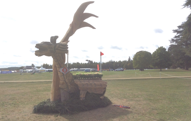 Blenheim Fences 2018