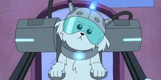 Snuffles or Snowball Rick and Morty Adult Swim