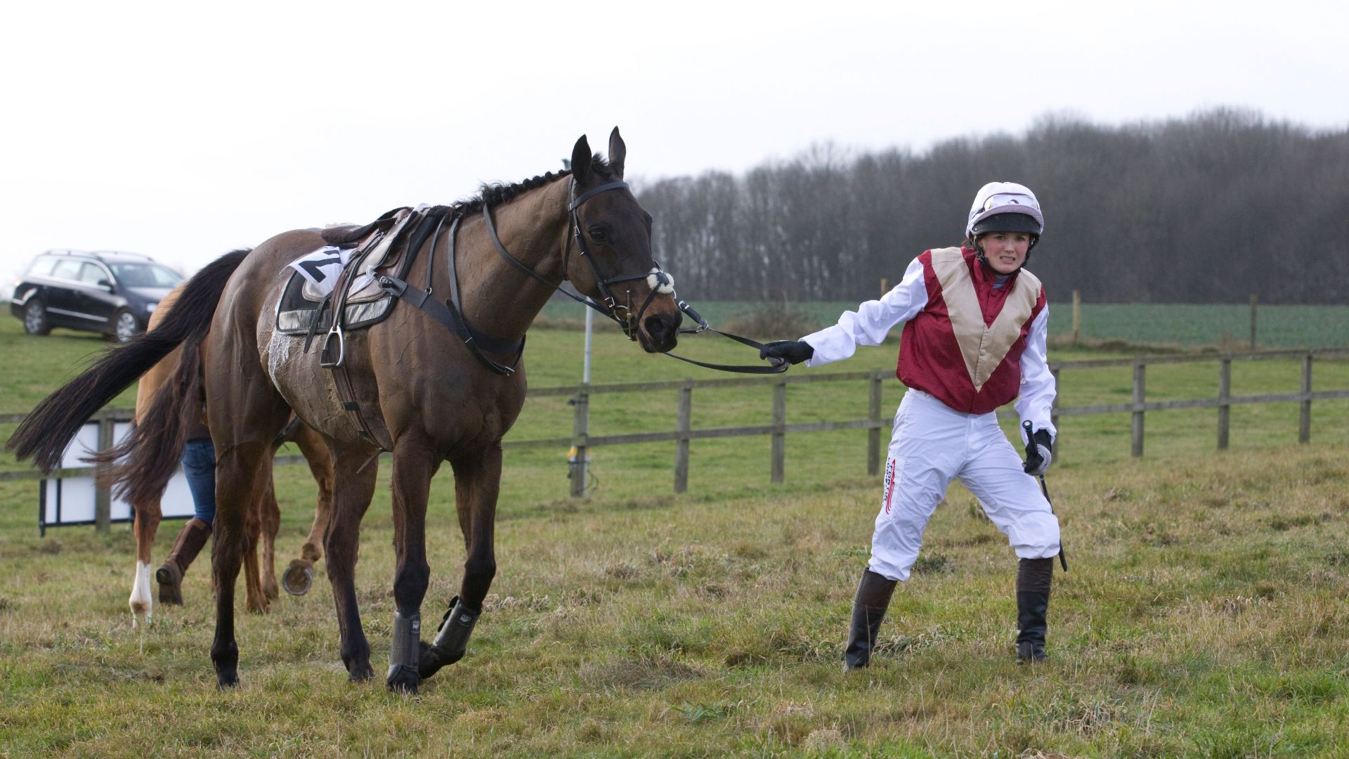 Jockey leading racehorse