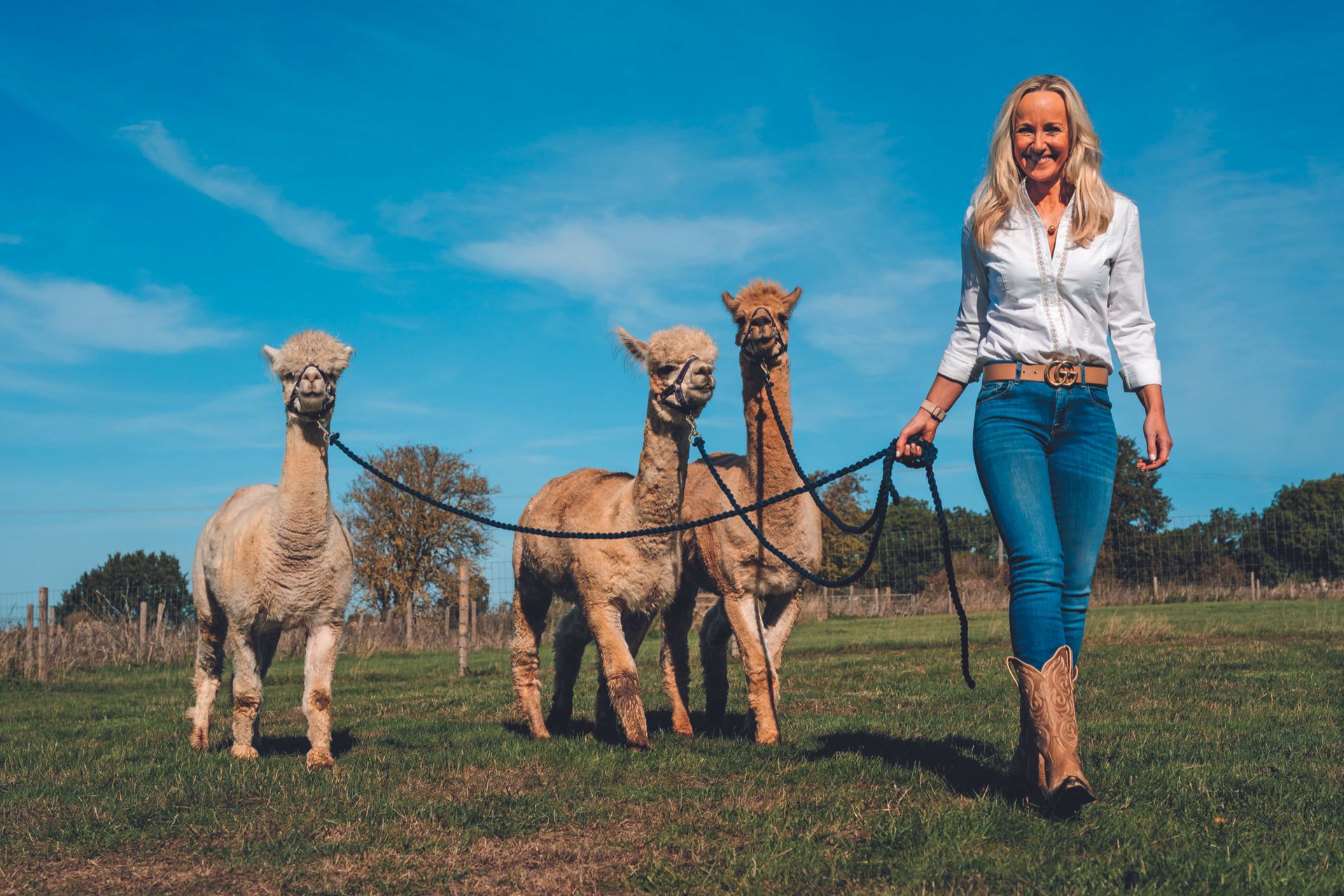 Polly Westley photographed at home in Northamptonshire with her three alpacas (L-R Abbandando, Liberace and Disco), for Country Life magazine. September 2026.