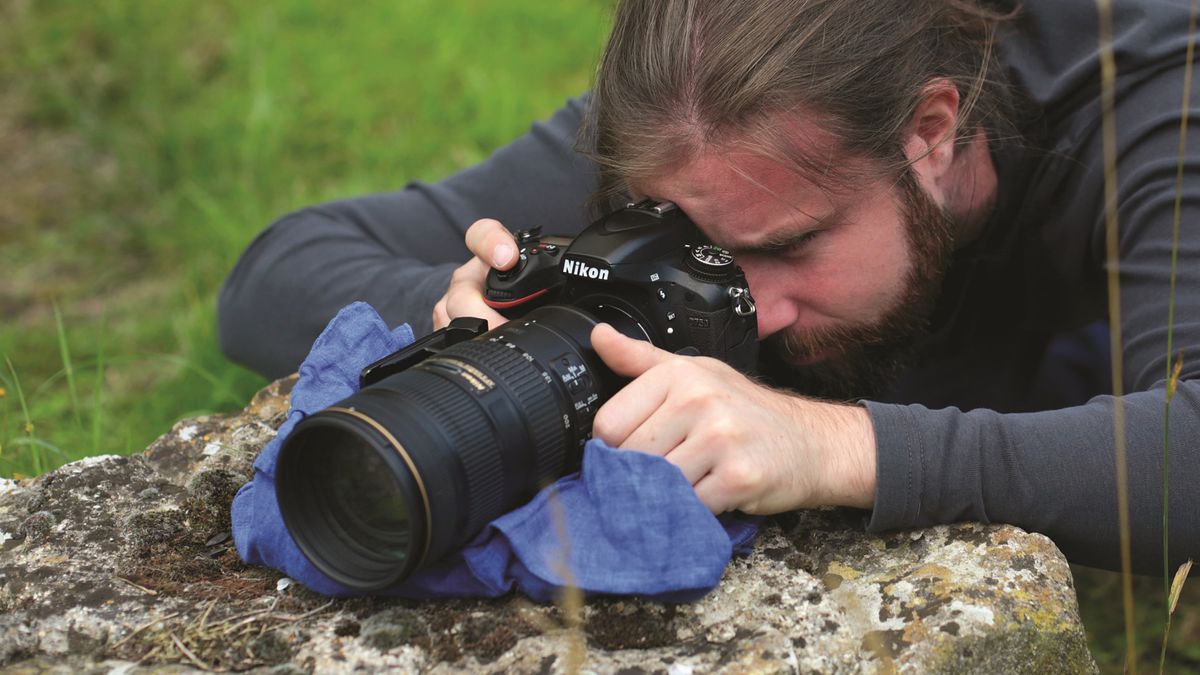 Better bird photography freeze birds in flight with fast shutter