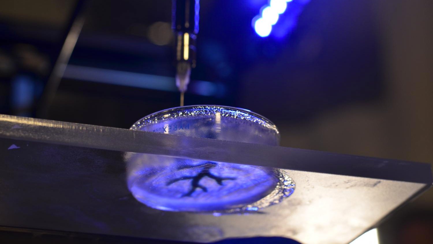 3D printer hacked to produce hearts, bones and brains