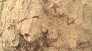 A photo of a turtle-shape rock formation on the surface of Mars