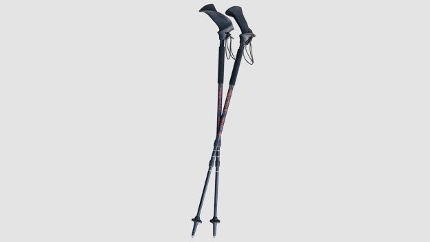 Pacerpoles