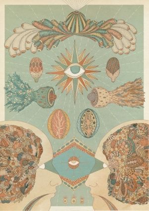 ‘Vision’, an illustration by Katie Scott, who says her work is largely inspired by old, scientific illustrations