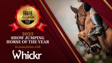 sj-horse-award.jpg