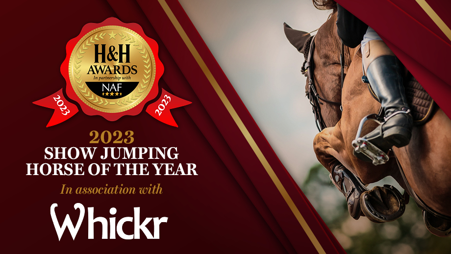 sj-horse-award.jpg