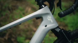 A close up of the headtube on the YT Industries Szepter, which stands among leafy undergrowth