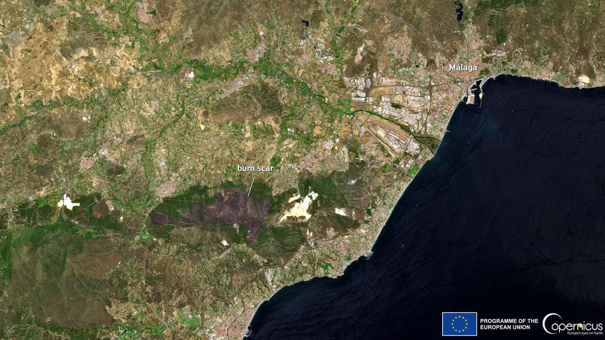 A burn scar left behind by a wildfire near Malaga, Spain, in July 2022.
