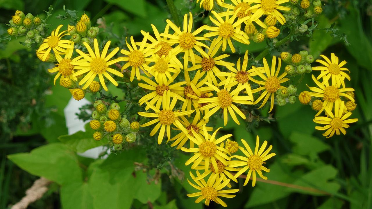 Xperia 1iii photos