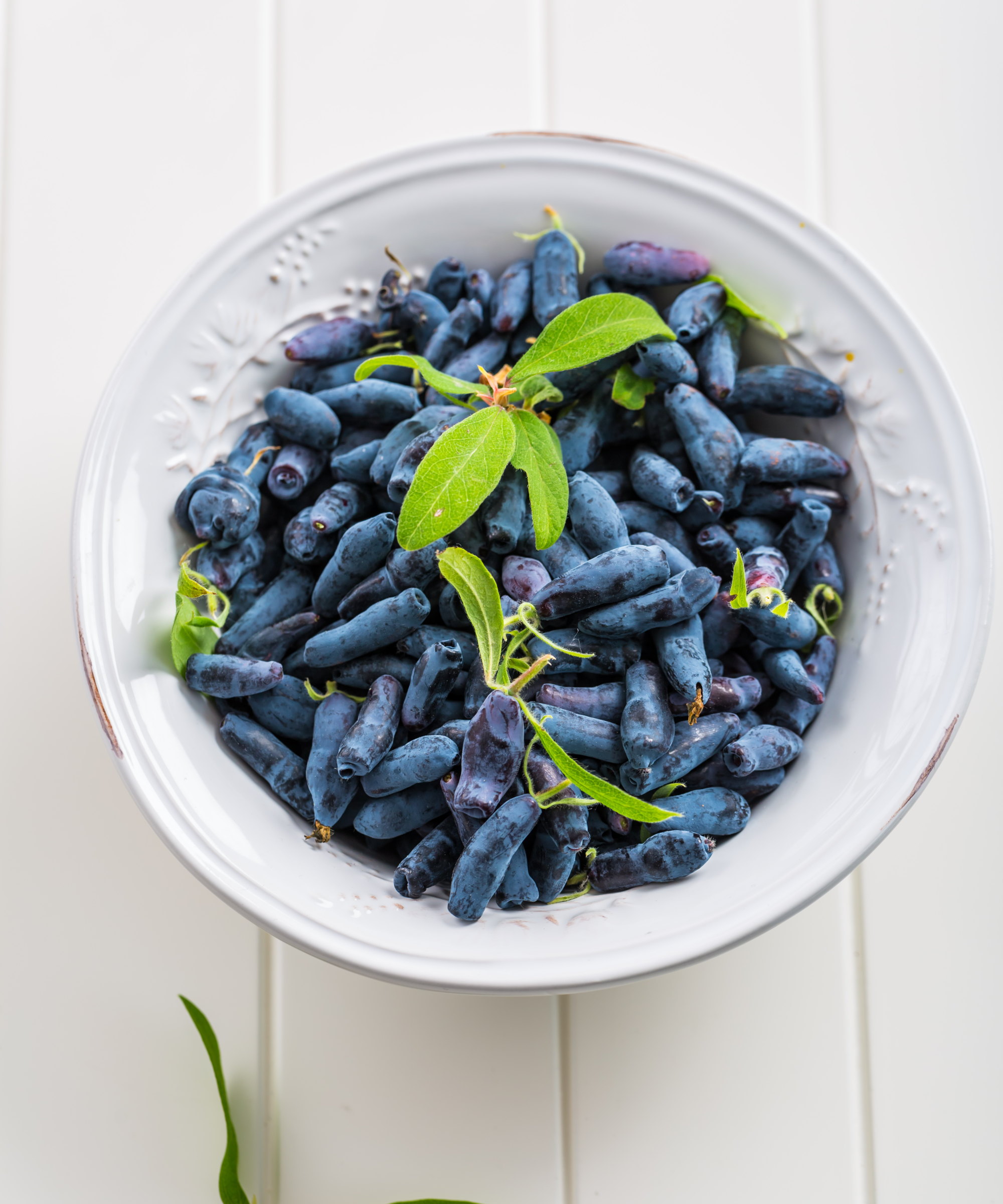 A bowl full of healthy blue honeyberries on a white table