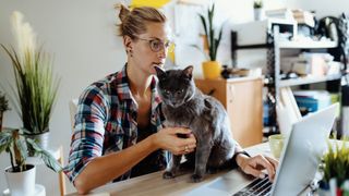 Woman trying to work while cat sits on her desk