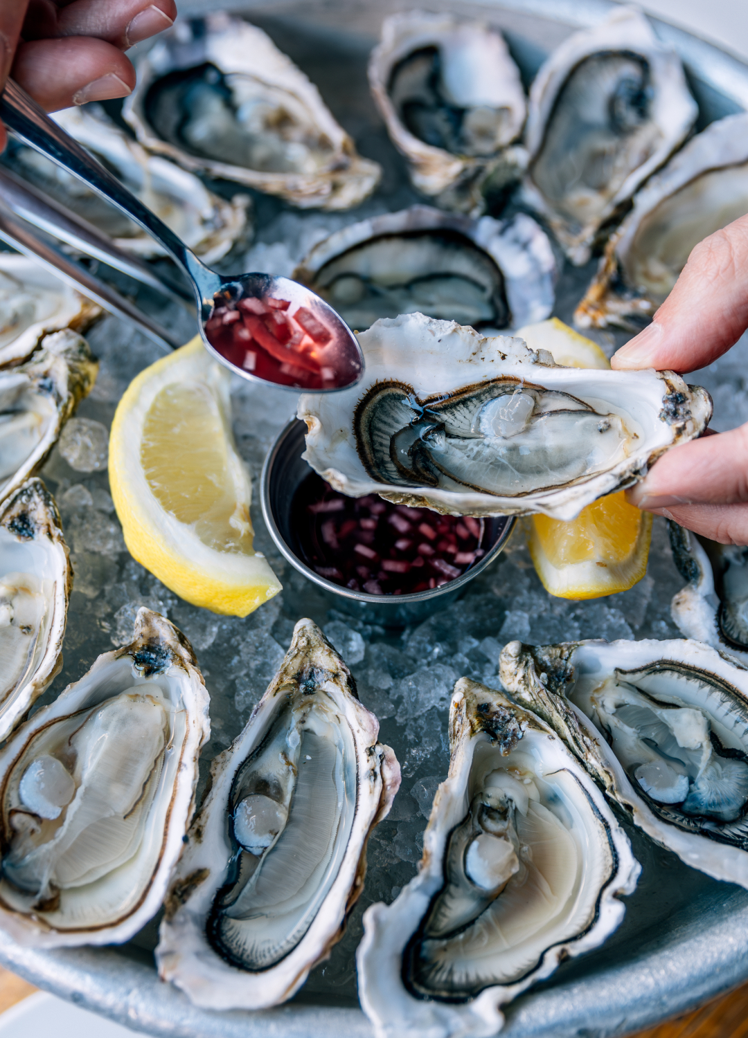 Oysters