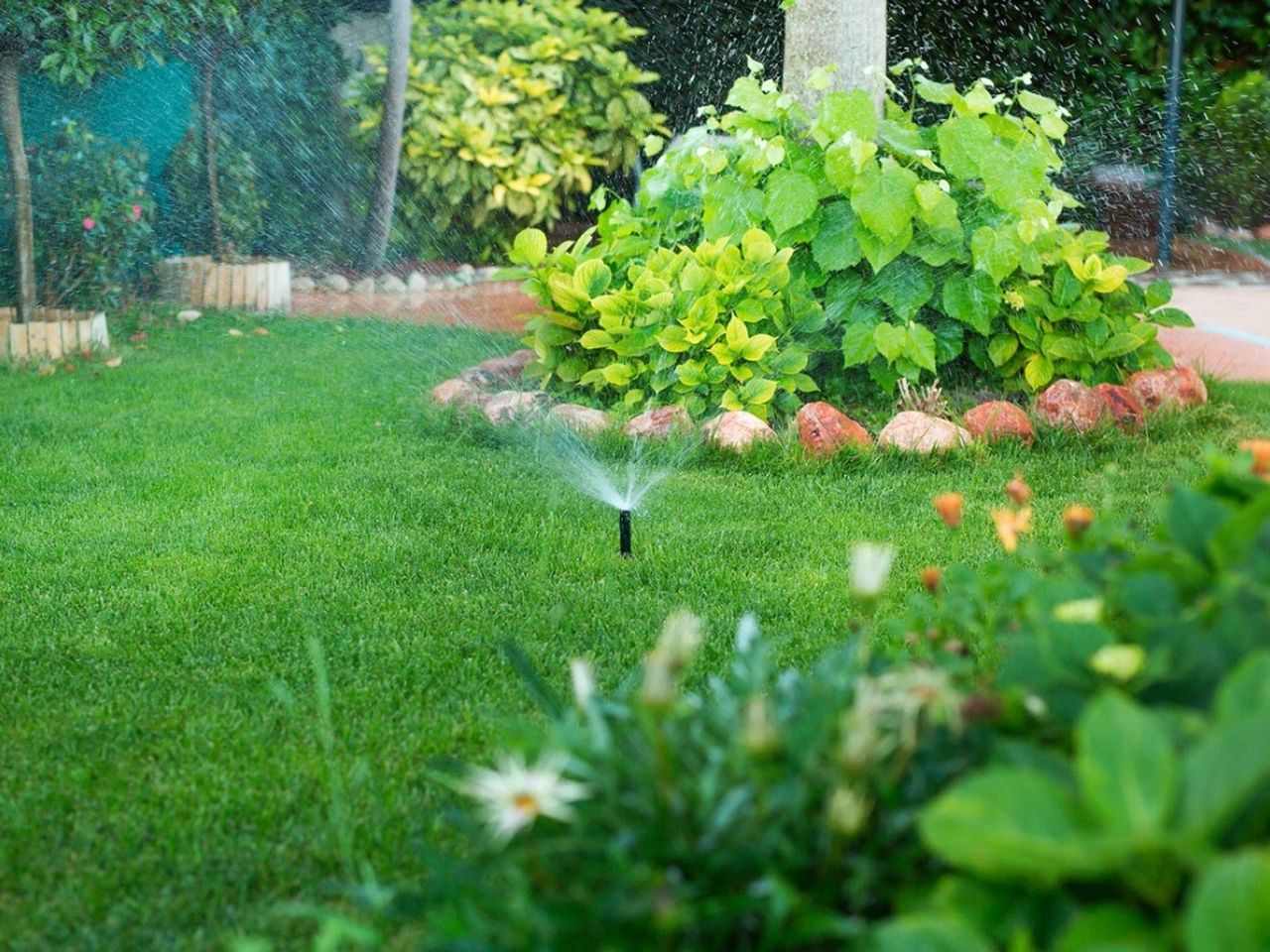 An automatic sprinkler on a green lawn