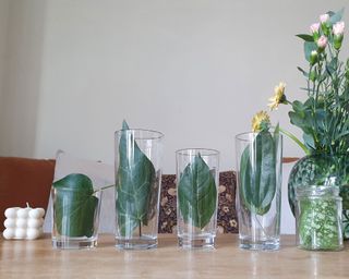 Joanna Gaines budget centerpiece hack demonstrated on a dining table, with leaves placed in glasses