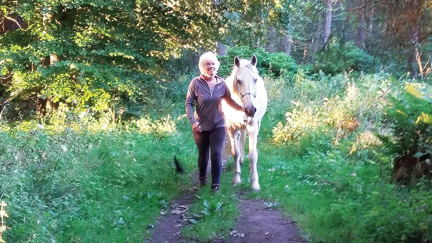 WHW-Windy_Ruith_World-Horse-Welfare.jpg