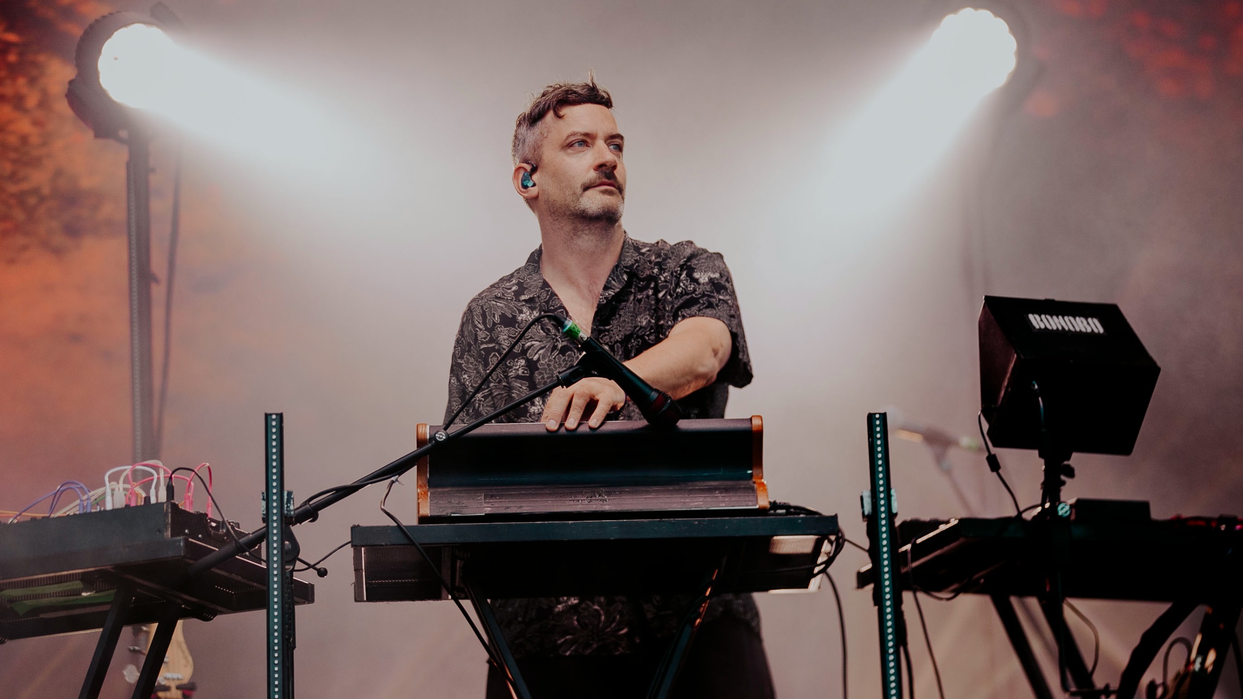 bonobo