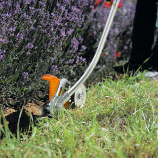 Stihl edging tool being used to edge a lawn with lavender next to it