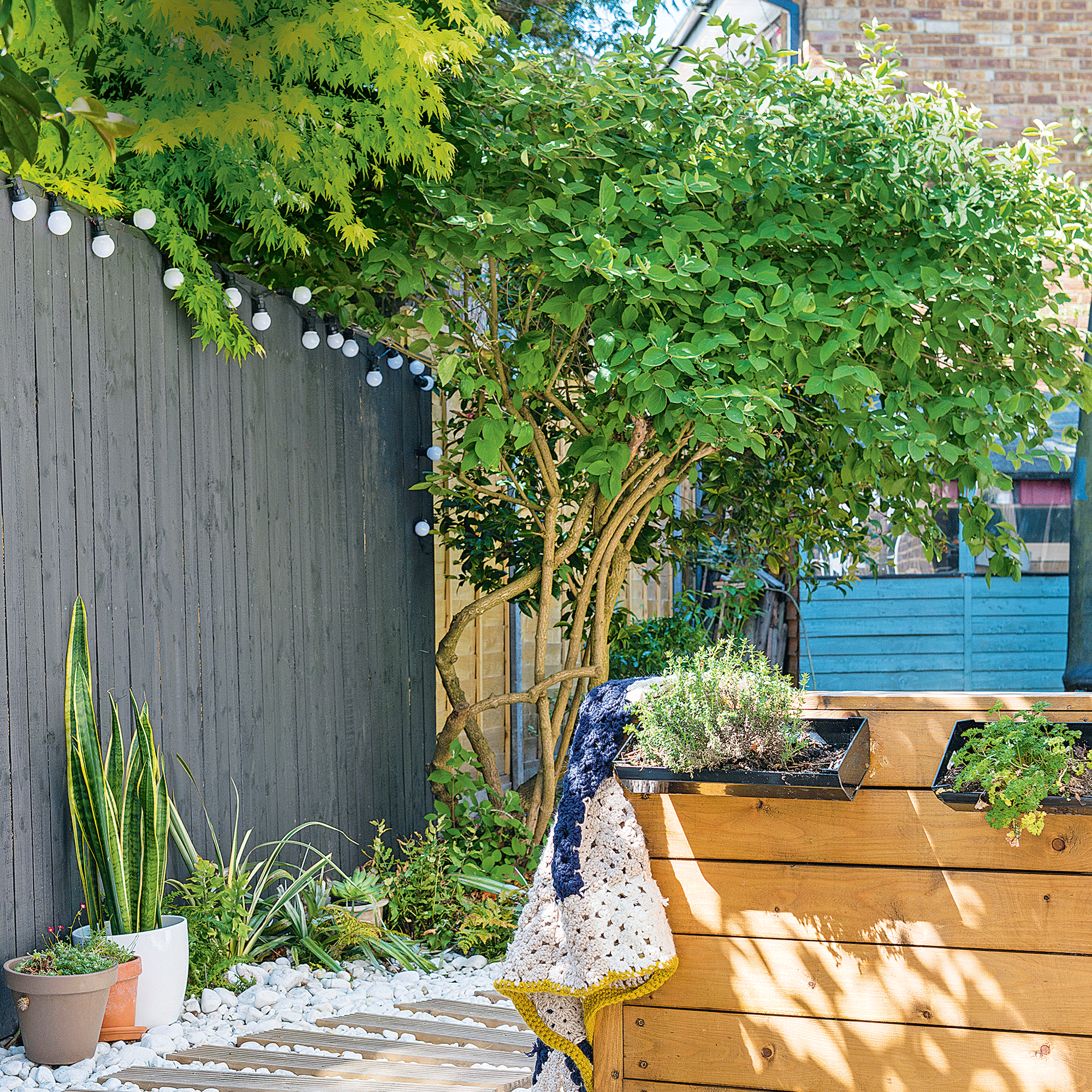 Garden path with grey fence with trees growing next to it