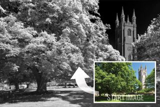 Tree leaves look white, just like in an infrared image, without a costly camera conversion. The church and other buildings will remain unaffected