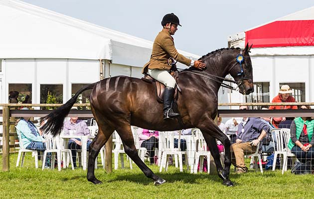 Devon County Show 2018