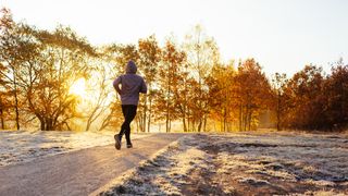 Man running along path in frosty park at sunrise
