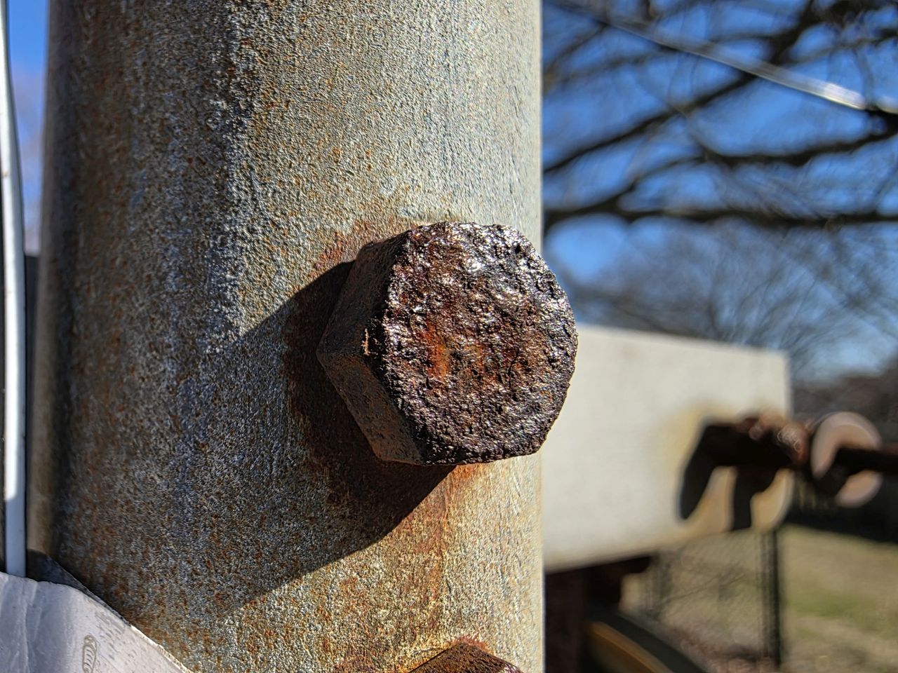 Samsung Galaxy S25 Ultra macro sample.