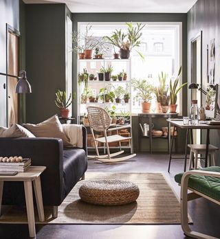styling shelves: living room with dark green colour scheme and filled with houseplants displayed on styled shelves by Ikea