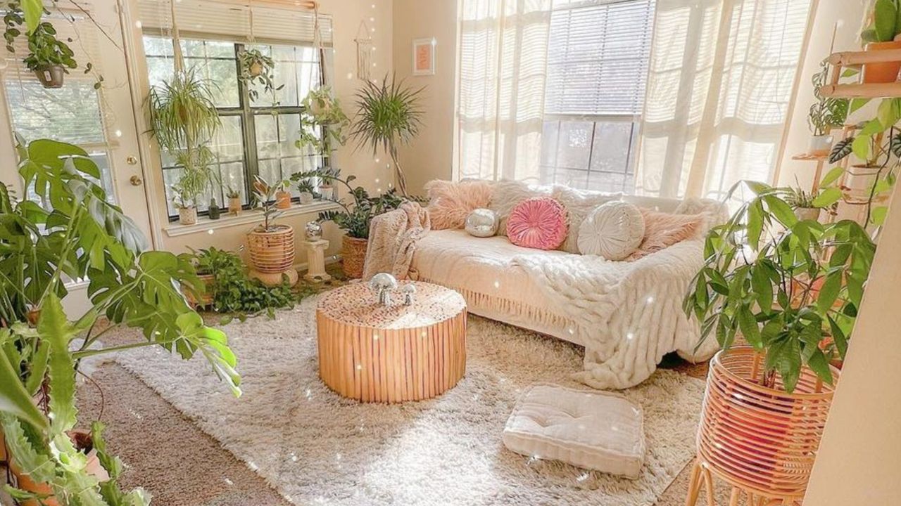 Airy living room with couch and plants