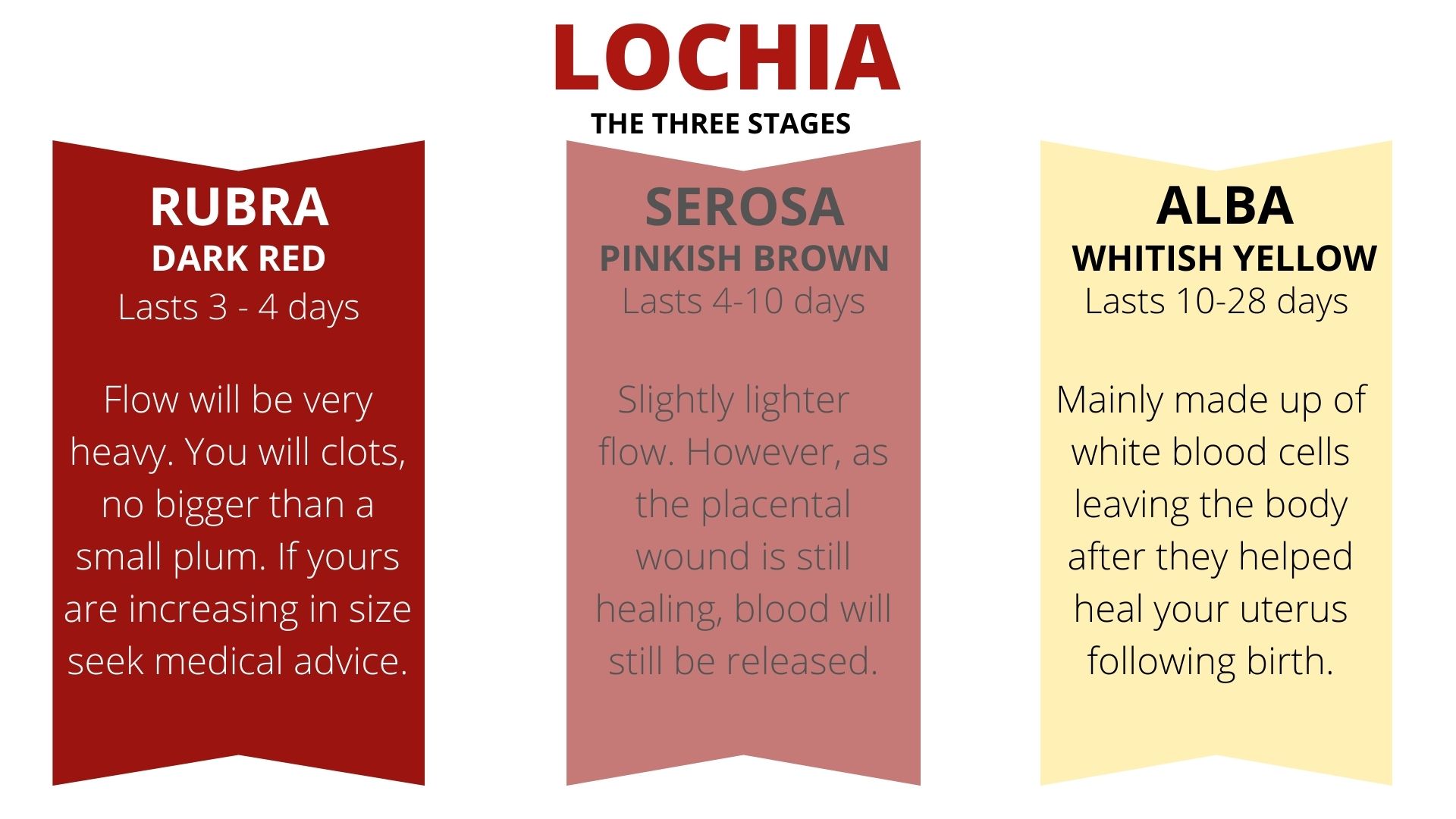 infographic of lochia
