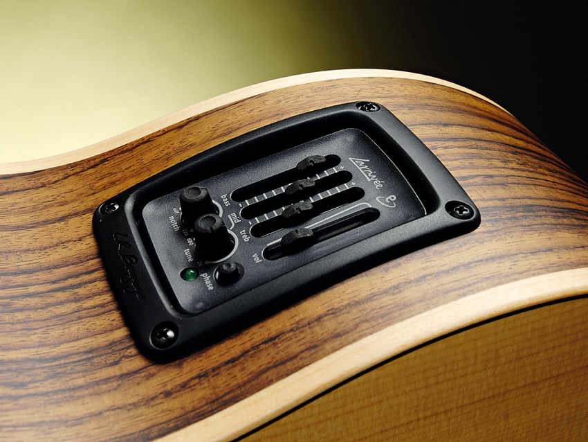 The bass features the LR Baggs Elemental Notch System