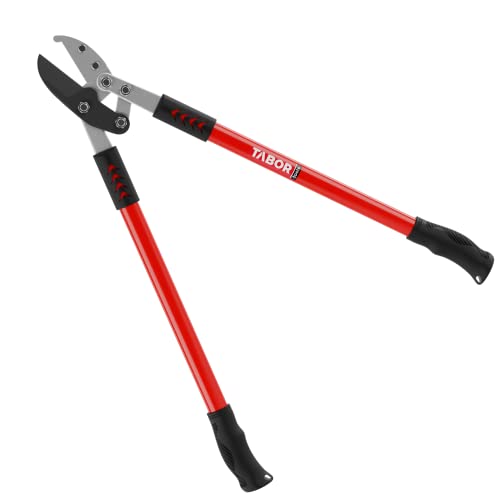 Tabor Tools Gg12a Anvil Lopper With Compound Action, 30 Inch Tree Trimmer &amp;amp; Branch Cutter, Heavy Duty Tree Pruner With 2 Inch Cut Capacity, Chops Thick Dry Branches With Ease