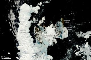 Antarctic Peninsula in spring.