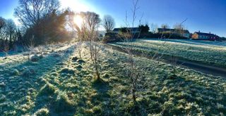 Frosty Britain - Devon