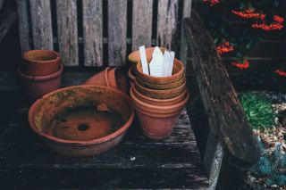 selection of terracotta pots