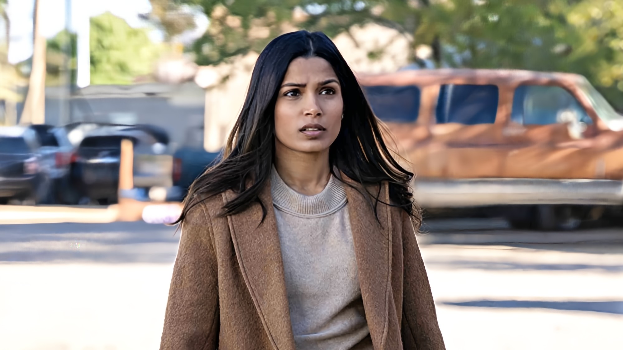 Freida Pinto in Intrusion