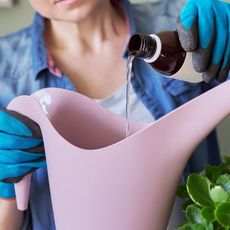 A woman pours a clear liquid from a bottle into a pink watering can
