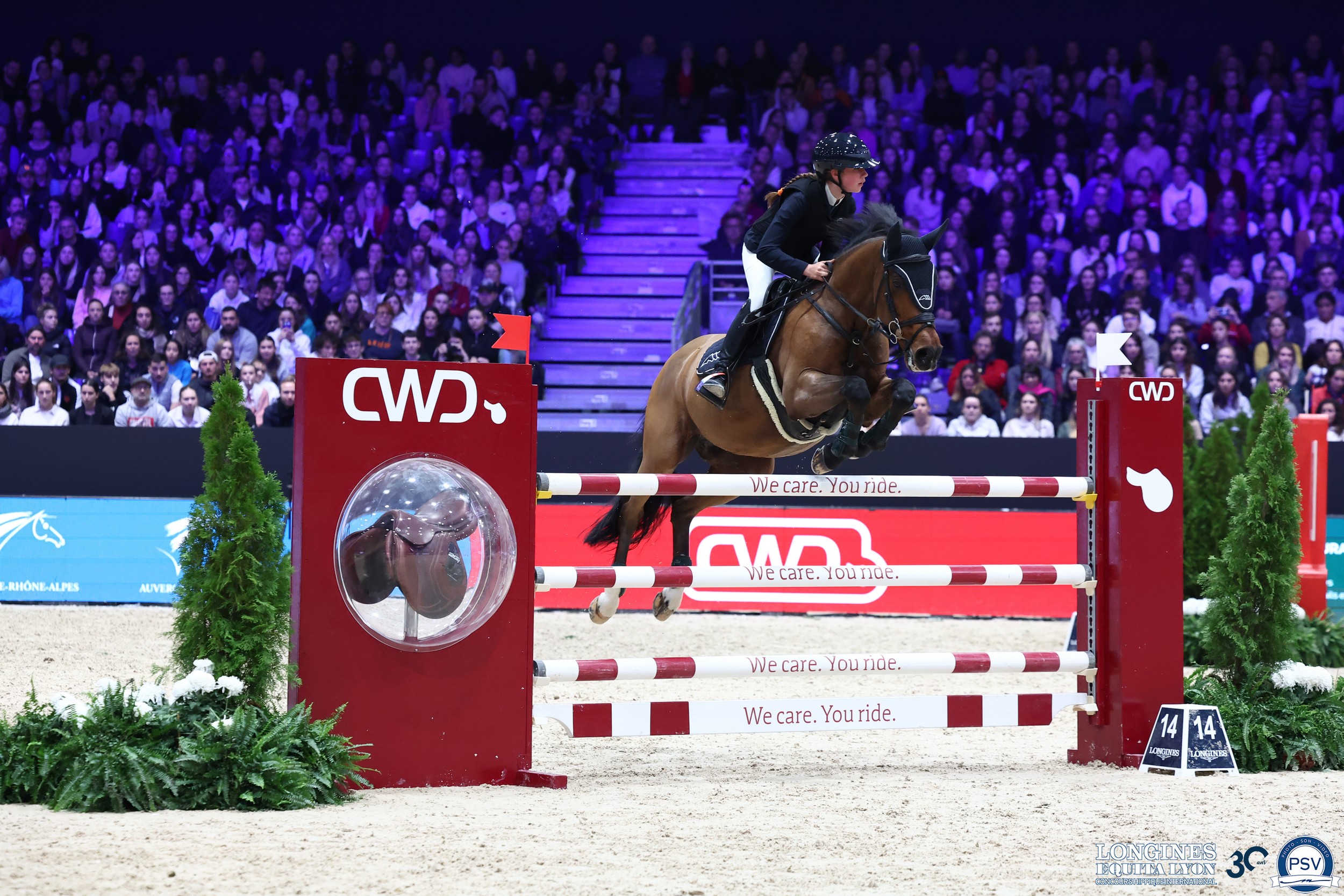 The 20-year-old gelding Elando van de Roshoeve and Lieselot Kooremans win the pony grand prix in Lyon, France.