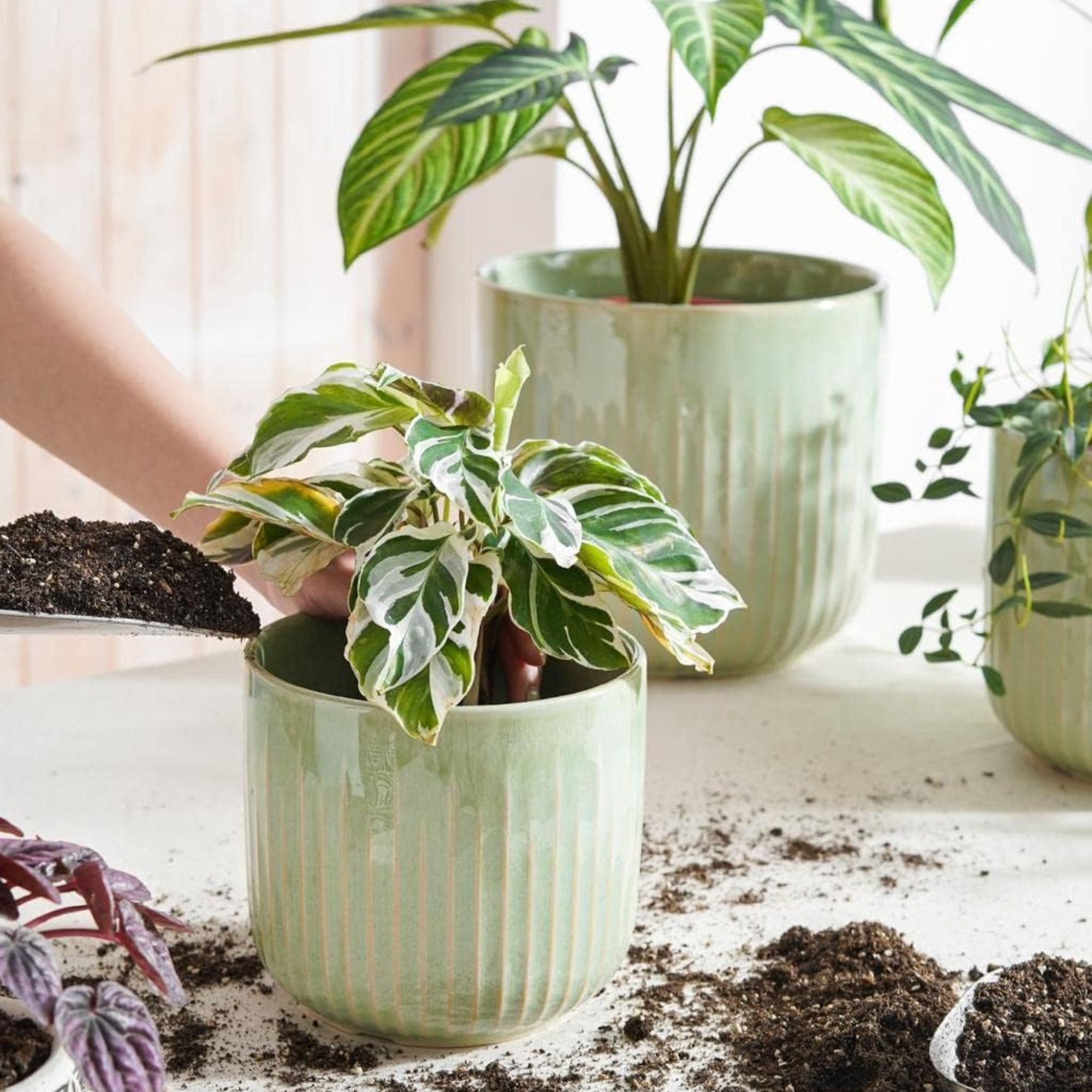 green ceramic planters Amazon