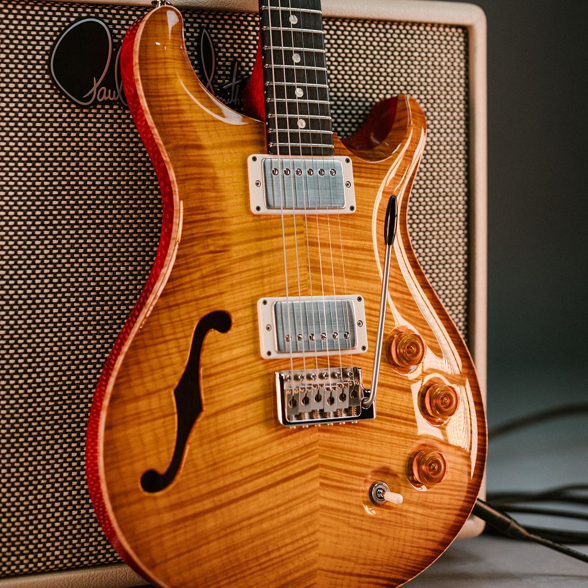 DGT Semi-hollow guitar details