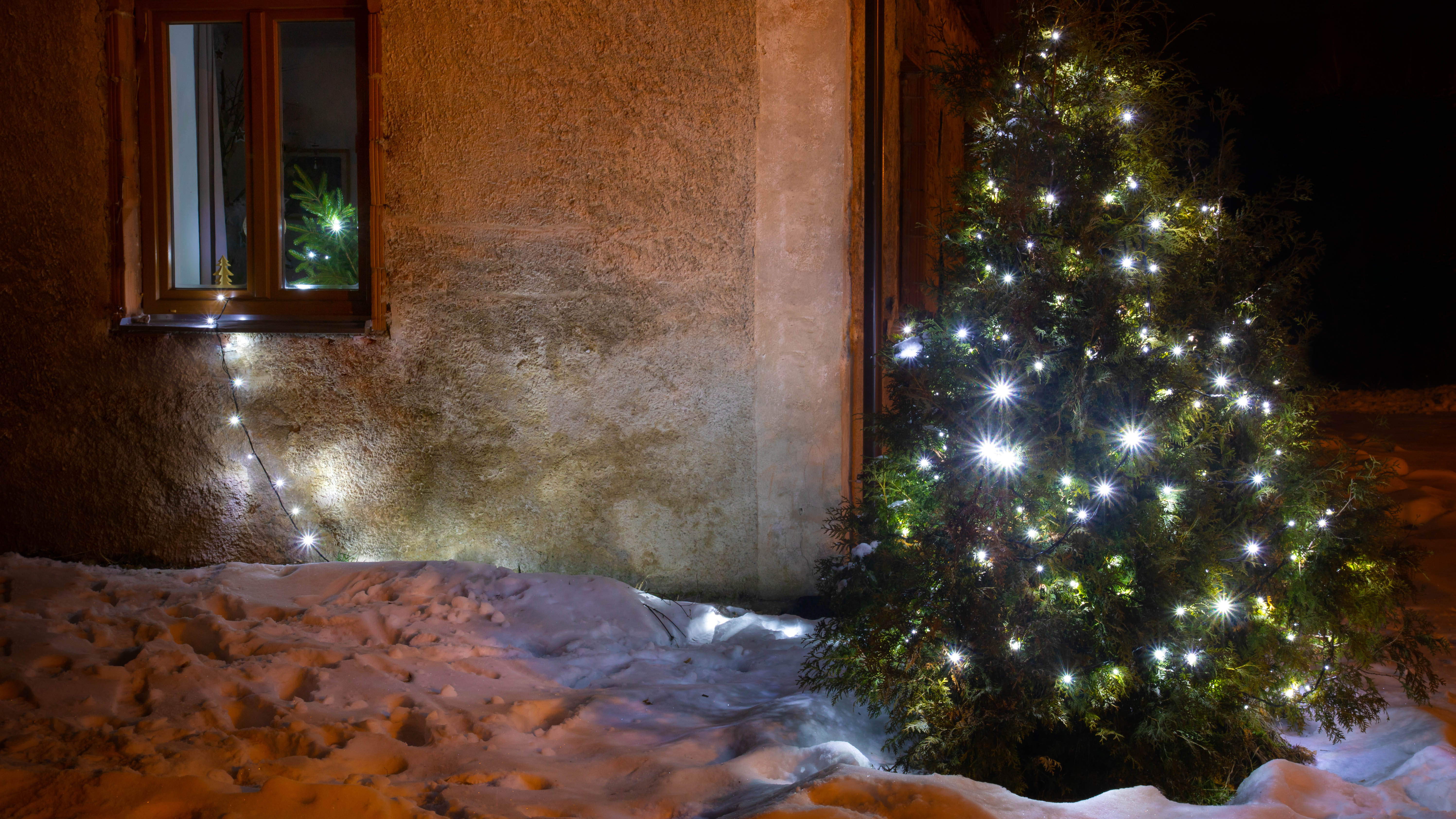 Новогодняя елка, посаженная на улице в снегу и украшенная гирляндами.