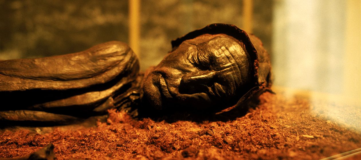 Tollund Man.