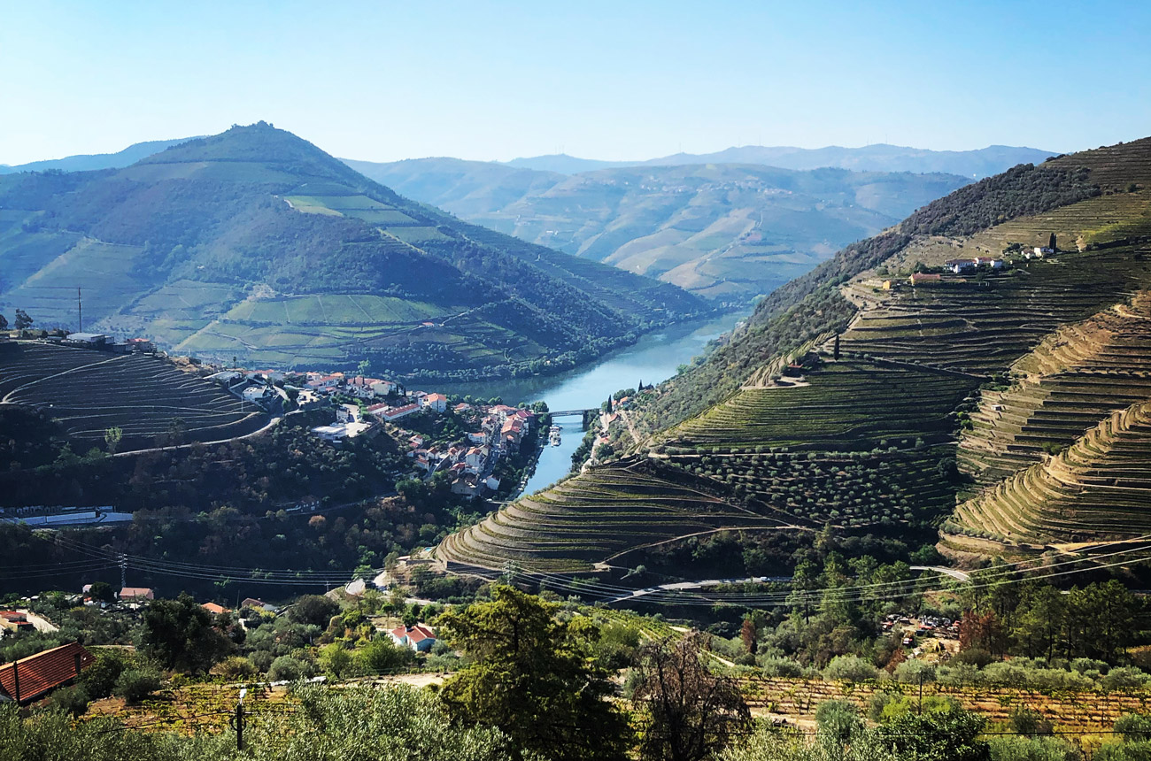 River valley with vineyards